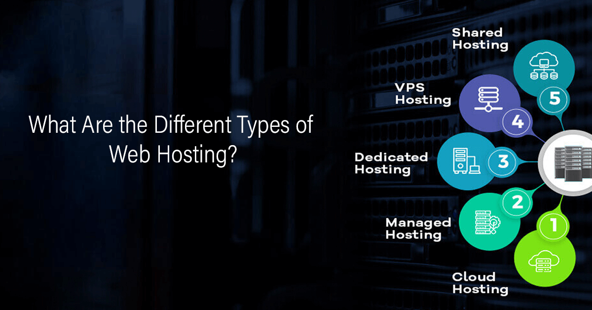 What Are the Different Types of Web Hosting?